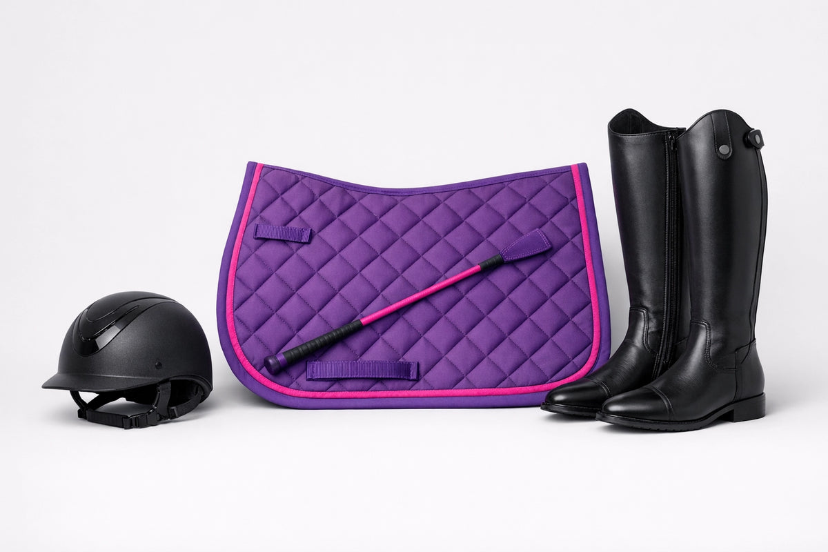 Cavalli ed equitazione