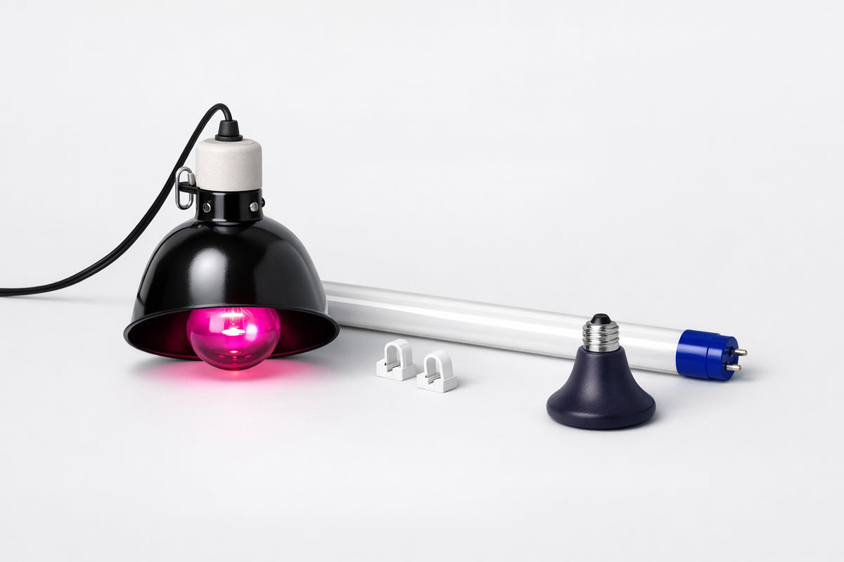 Lampade e neon per terrari