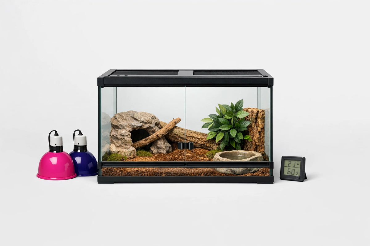 Terrarium