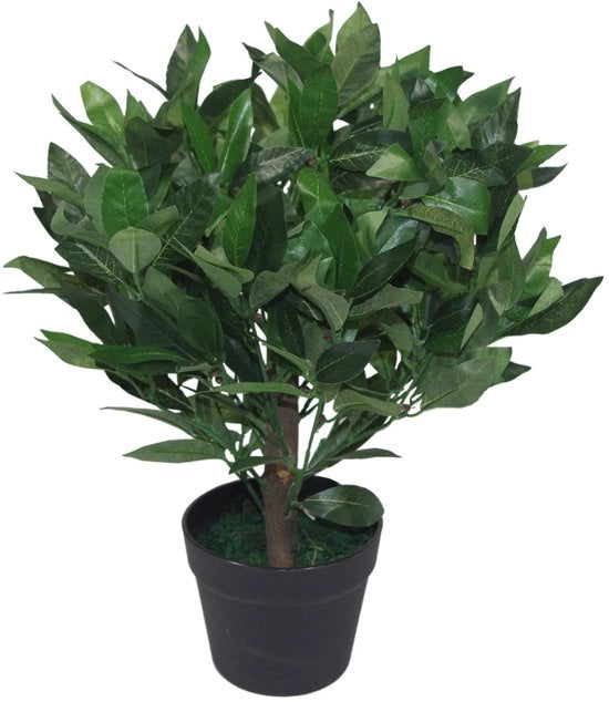 Laurierbosso artificiale, forma foglia, 50 cm, verde, plastica