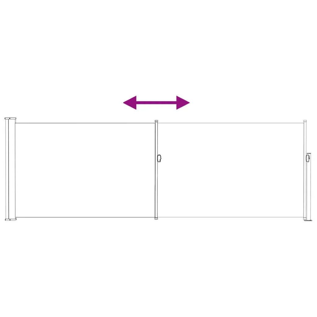 Tenda da Sole | Tenda laterale retrattile Antracite 300 x 100 cm Poliestere
