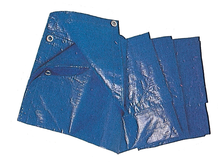 C TELO OCCHIELLATO PE 4 X 5M 85GR BLU- 1,0 pz