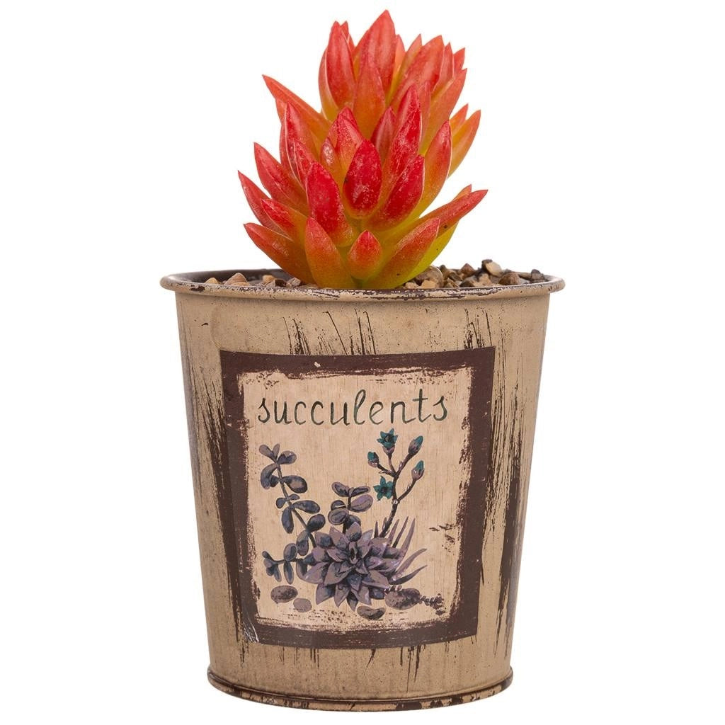 Vaso con cactus artificiale 10x10x17h