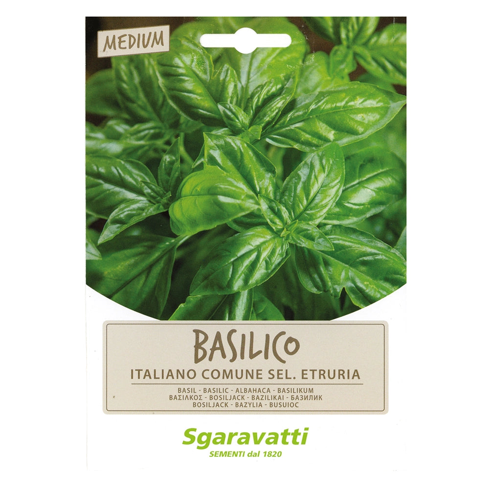 Semi per Ortaggi e Vegetali Basilico Italiano Comune Sel. Etruria 10 Pezzi