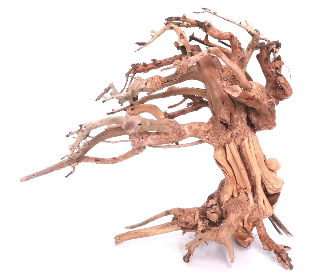 DecorLine Wind Wood misura Small cm23x10x17h - legno naturale decorativo