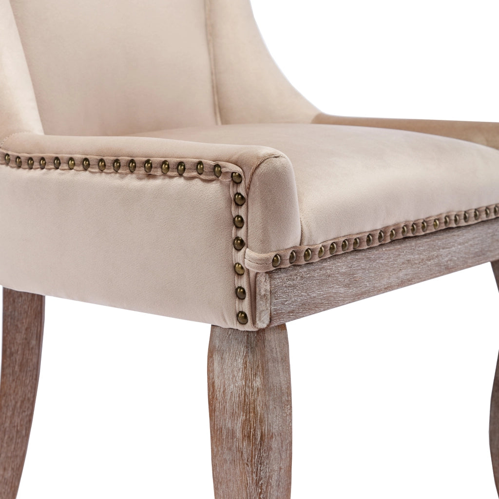 Sedia da Pranzo Sedia Imbottita con Schienale Ergonomico e Gambe in Legno Massello, in Velluto Beige