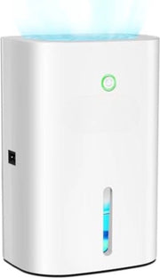 Dehumidificatore e Purificatore dell'Aria per la Cantina