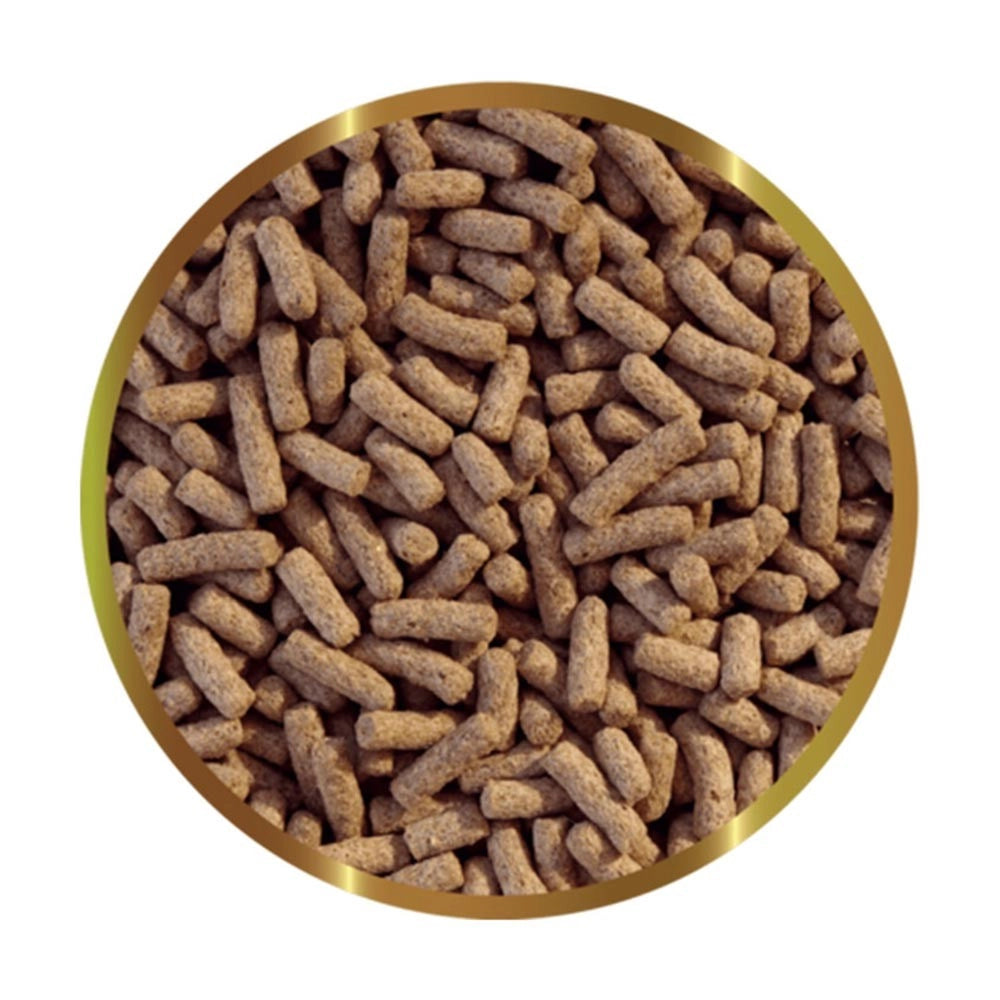 SHG Gammarus Stick - Mangime Completo per Tartarughe Acquatiche Formato: 40 gr