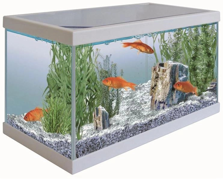 ADA Riccia Line - 50 metri