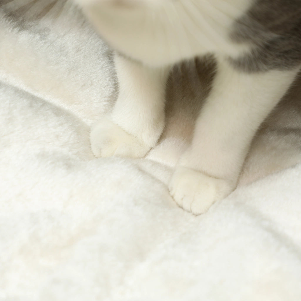 Casetta per Gatti ¨C zephmum ¨C Marrone 45x41x37 cm