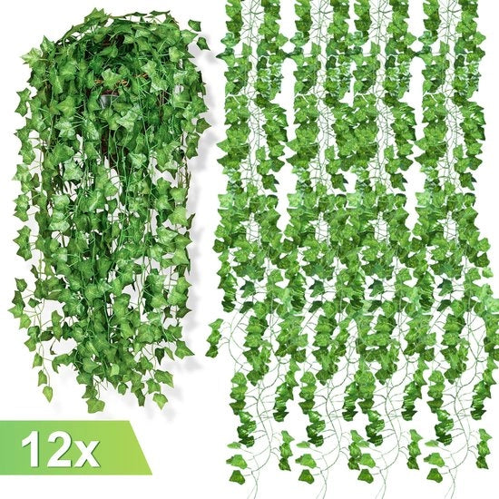 Slinga per Ficus 12 Pezzi - 240cm Lunga | Decorazione Pianta per Casa e Giardino | Pianta da Parete Artistica | Slinga per Ficus | Pianta da Parete per Interno e Esterno