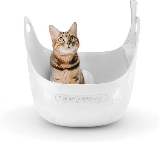 Ciotola per gatti - inclusa ciotola per gatti da pulire - per gatti