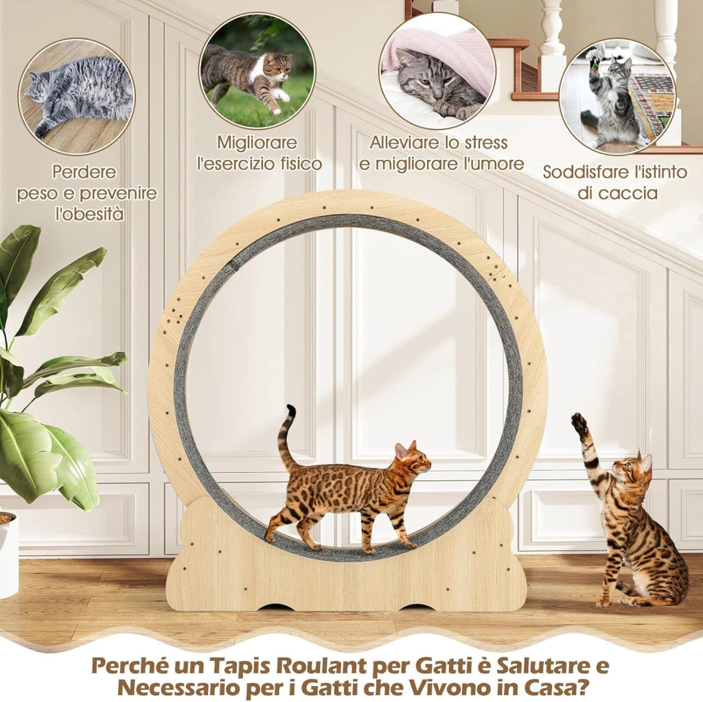Ruota per Esercizio per Gatti da Interno 101 cm
Tapis Roulant per Gatti con Corsa con Moquette Rimovibile, Ruota di Allenamento in Legno a Rumore Ultra Basso
