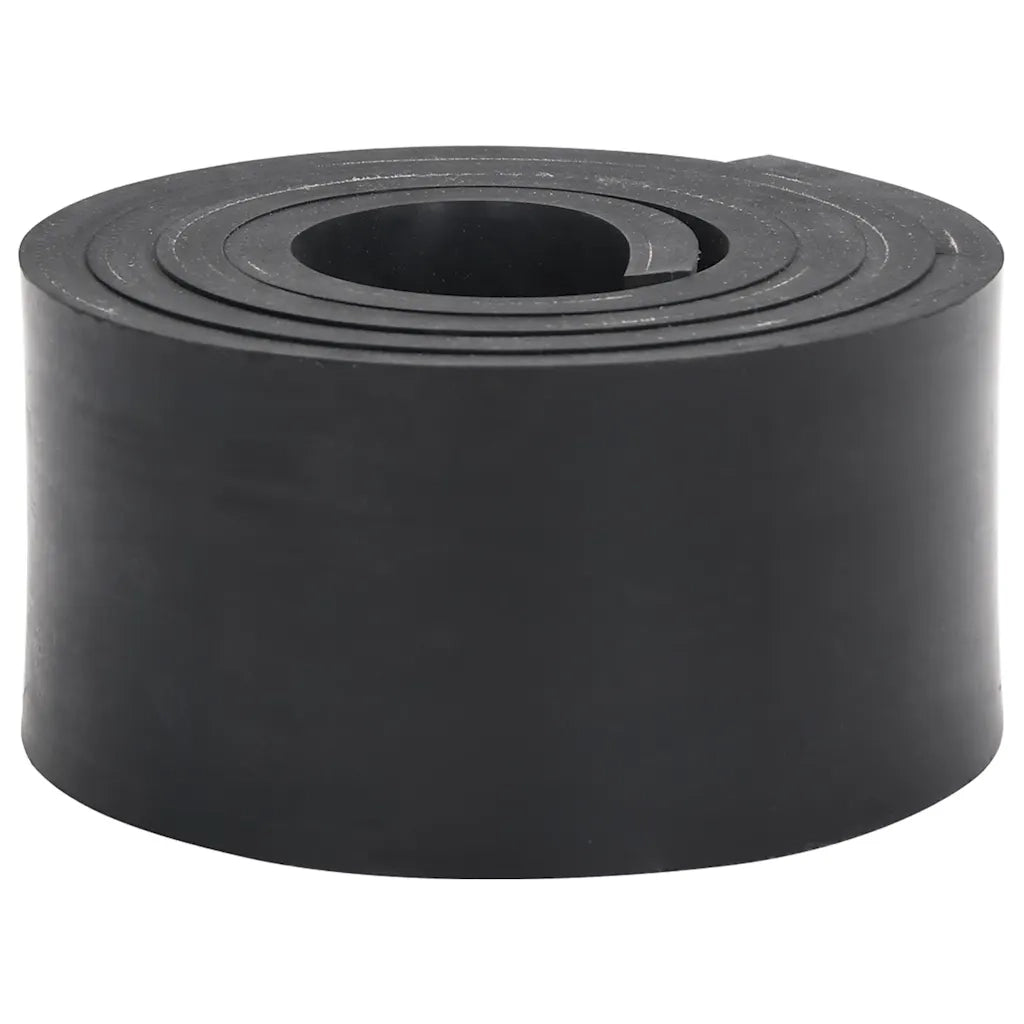 Bordo in Gomma per Spazzaneve Nero 200x8x1 cm 4103514