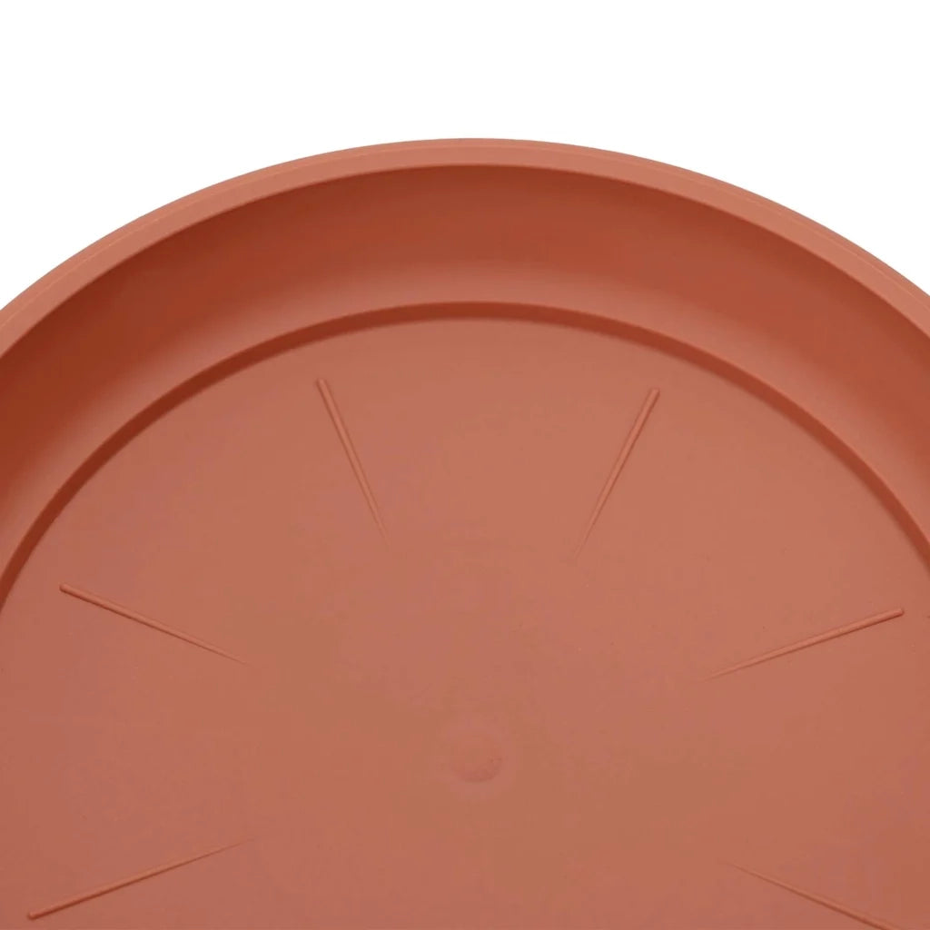 Vassoio Rotondo per Fiori 24 pcs Rosso Mattone Ø 27 x 2,5 cm 42020319