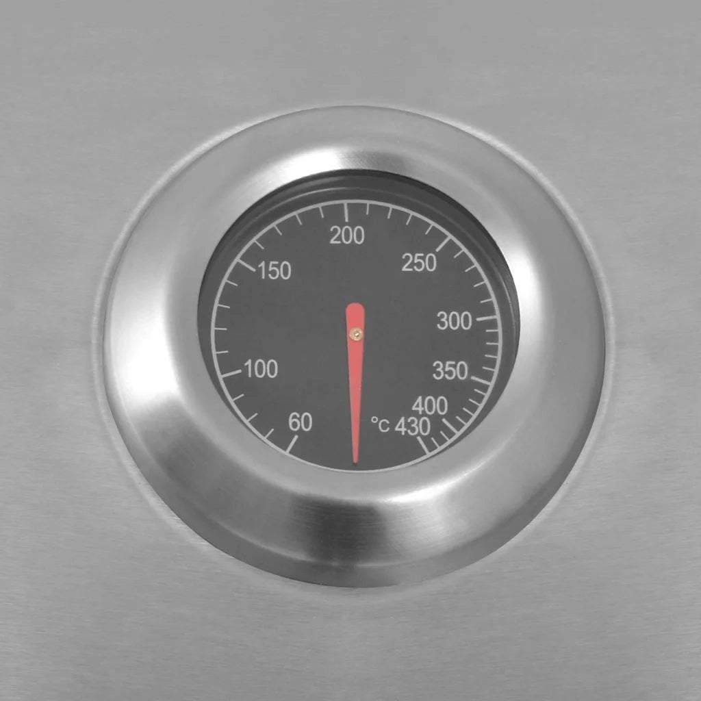 Griglia Barbecue a Gas Argento Acciaio con Tubo Metallico 43047