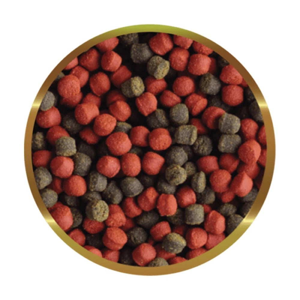 SHG Premium Marino Large Formato: 500 gr