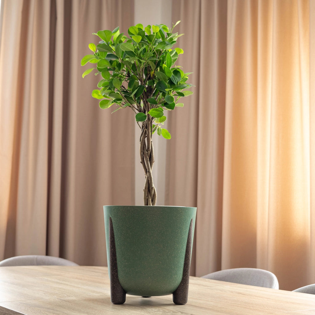 Vaso da fiori KADAX, coprivaso, con gambe, con inserto, moderno, verde, 18 cm