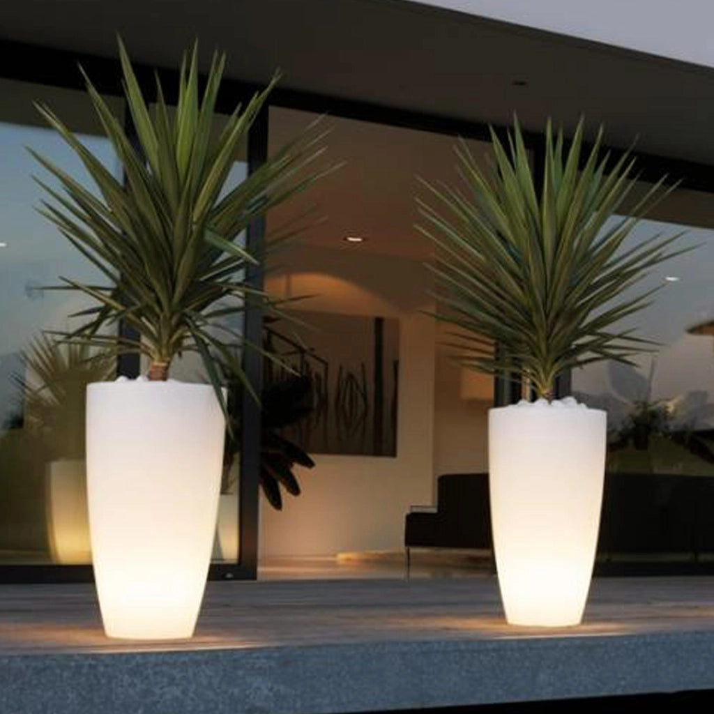 Vaso Agave Tondo Con Luce Rossa H70 Ø 33Cm