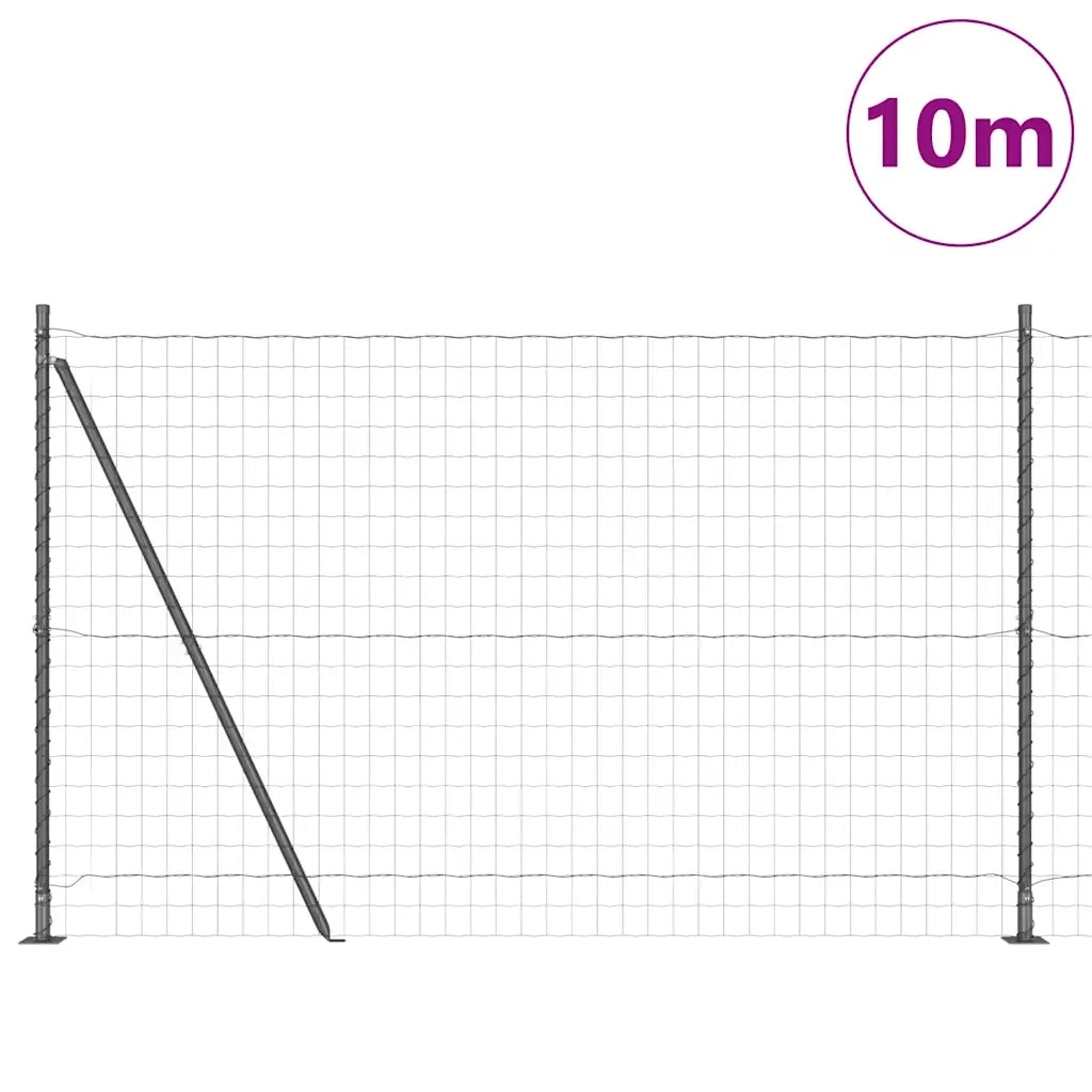 Recinzione con Posto Grigio 1,5 x 10 m Acciaio