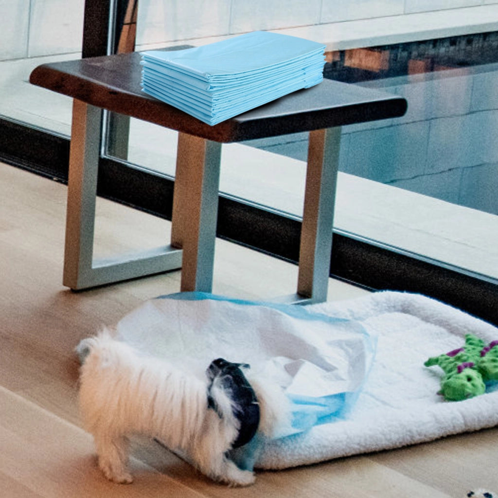 Traverse usa e getta con controllo odore, Traverse con asciugatura rapida per cani gatti conigli 60 x 43 cm-Giochi e accessori per cani