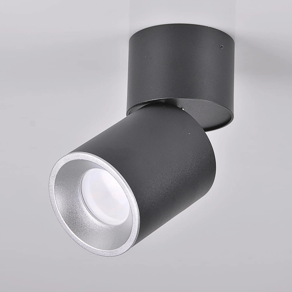 Faretto da soffitto orientabile GU10 nero/argento Astra Polux