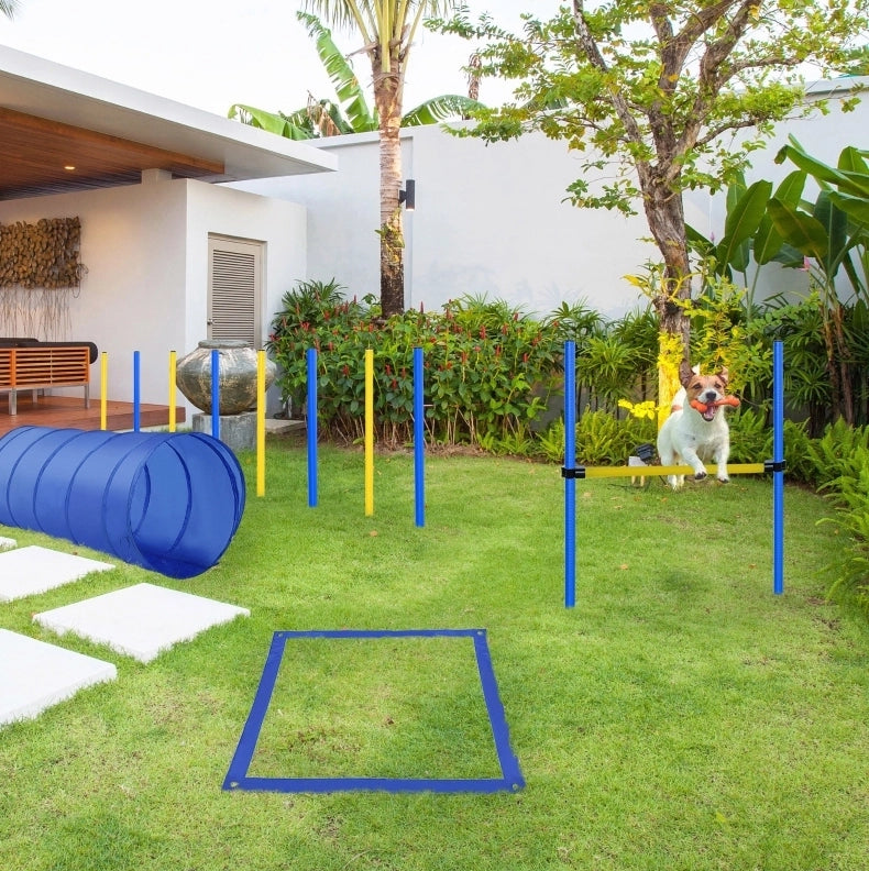 Kit agility per cani con tunnel da 148 cm, ostacolo regolabile blu e giallo