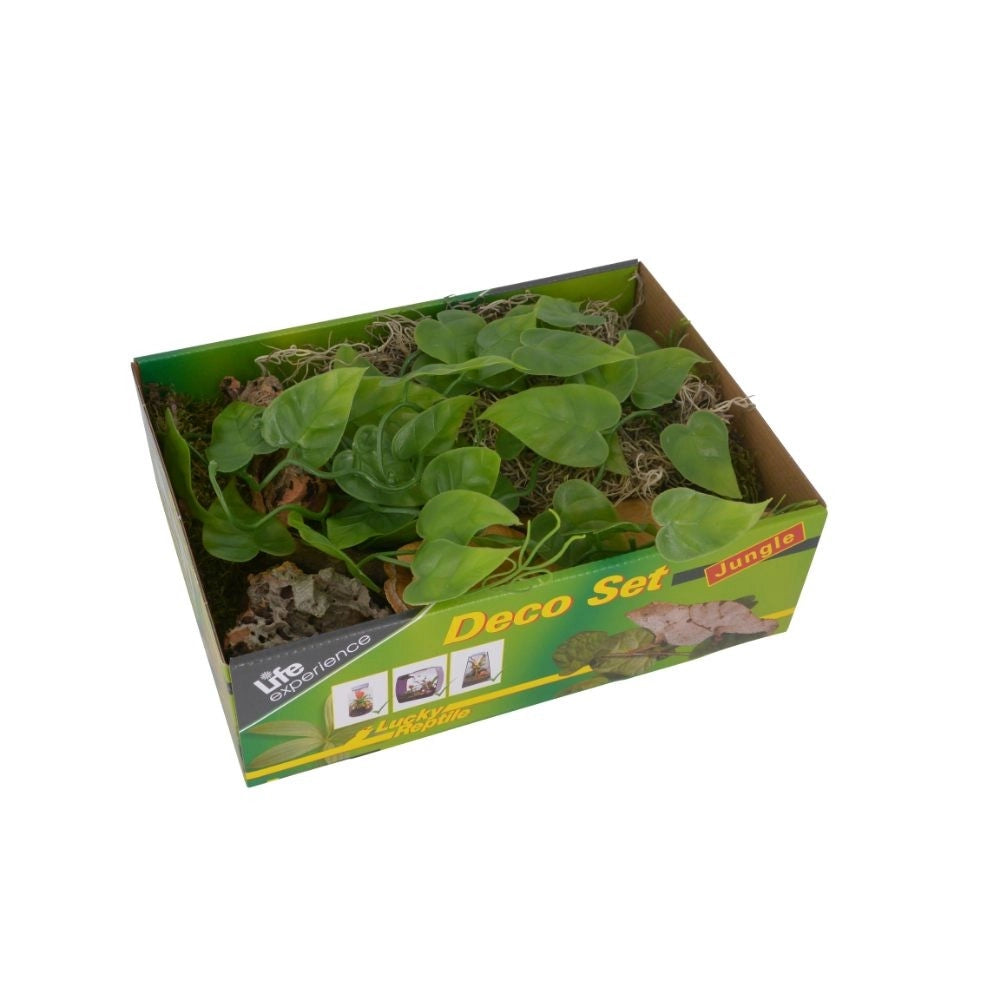 Lucky Reptile Deco Set Jungle – Set Decorazioni per Terrari Tropicali