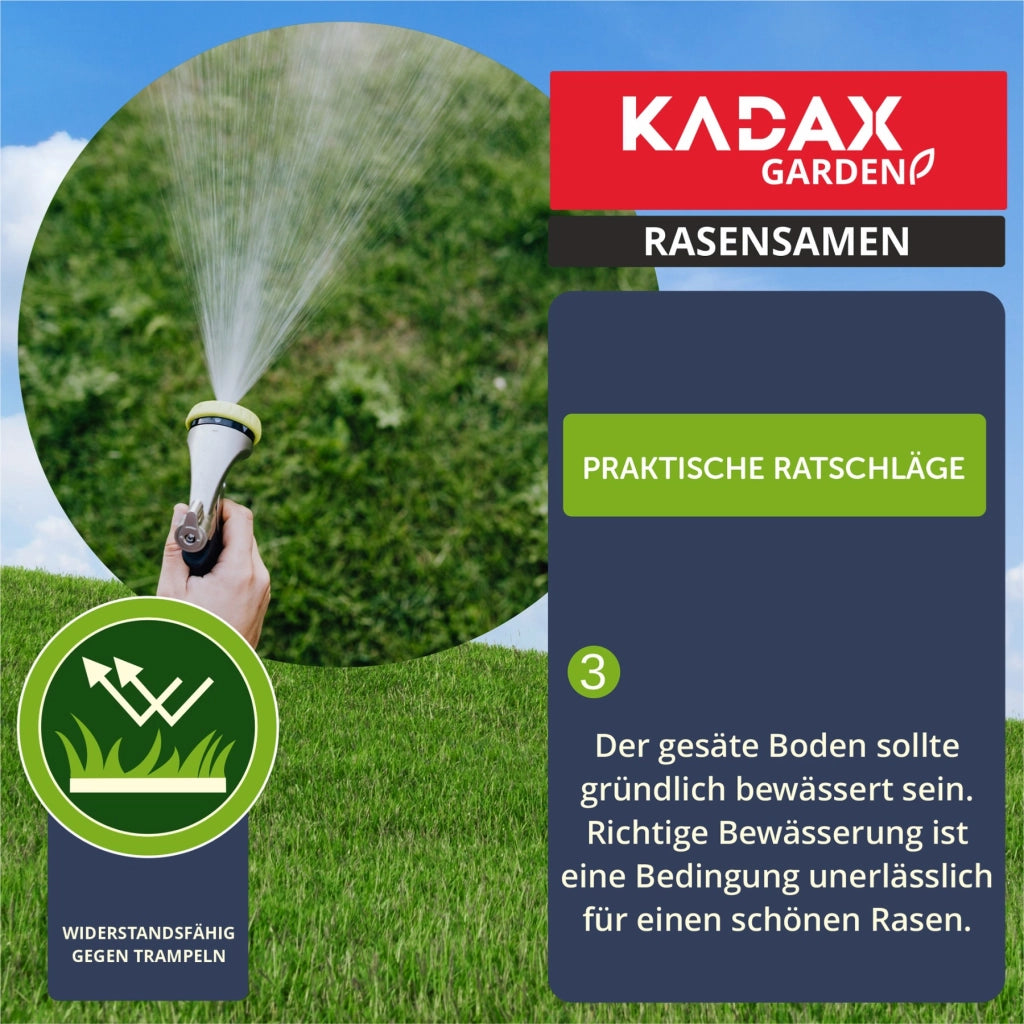 Semi per prato KADAX 15 kg Universali Autocompattanti Resistenti al calpestio 600 m²