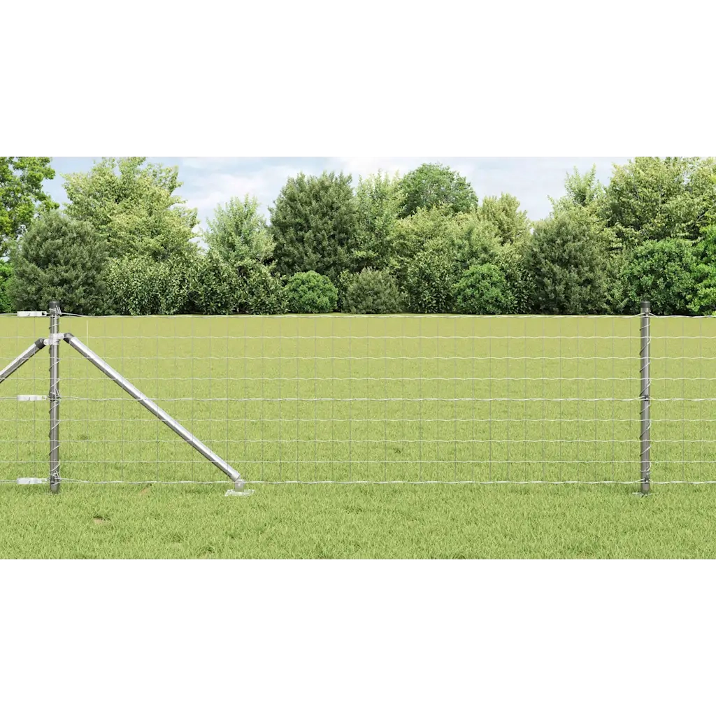 Recinzione con Posto Argento 0,4 x 25 m Acciaio