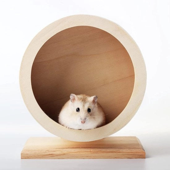 Giradisca per Piccoli Animali Dampingo Ruotante per Riposo e Esercizio di Hamsters Siriani Gerbili Ratti Topi Chinchilla Nane (S Φ/15cm)