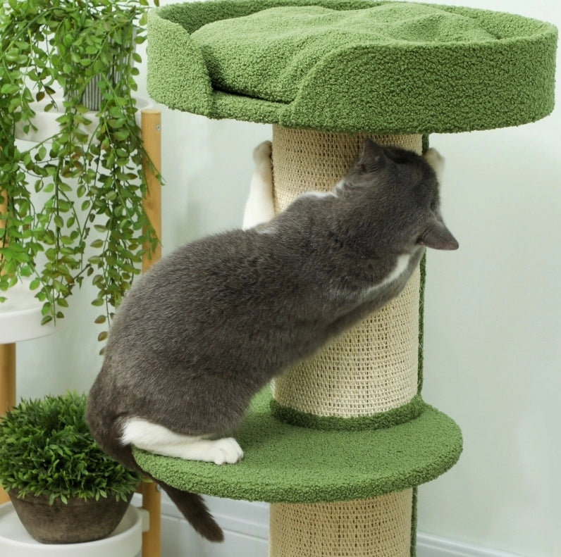 Tiragraffi ad albero per gatti 91 cm verde in sisal con cuccia e piattaforme
