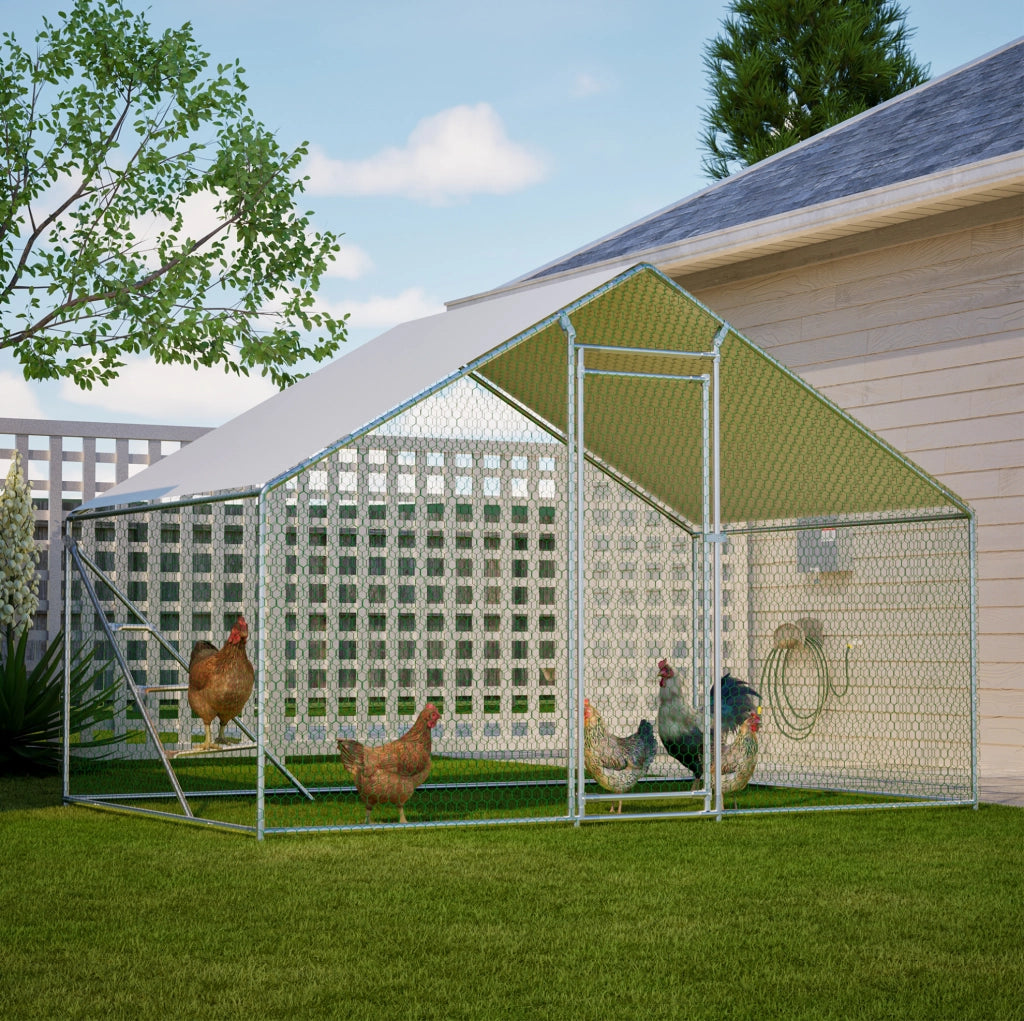Recinto per polli in metallo 3x2 m con copertura