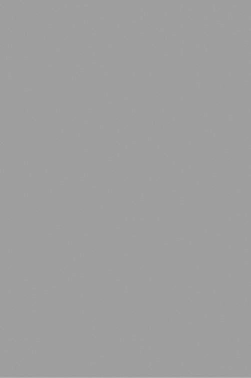 PLASTICA ADESIVA GRIGIO OPACO DC FIX 90X210