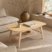 Tavolino basso fisso a due ripiani in legno con ampio spazio contenitore per soggiorno e ufficio 110 × 58 × 19 cm