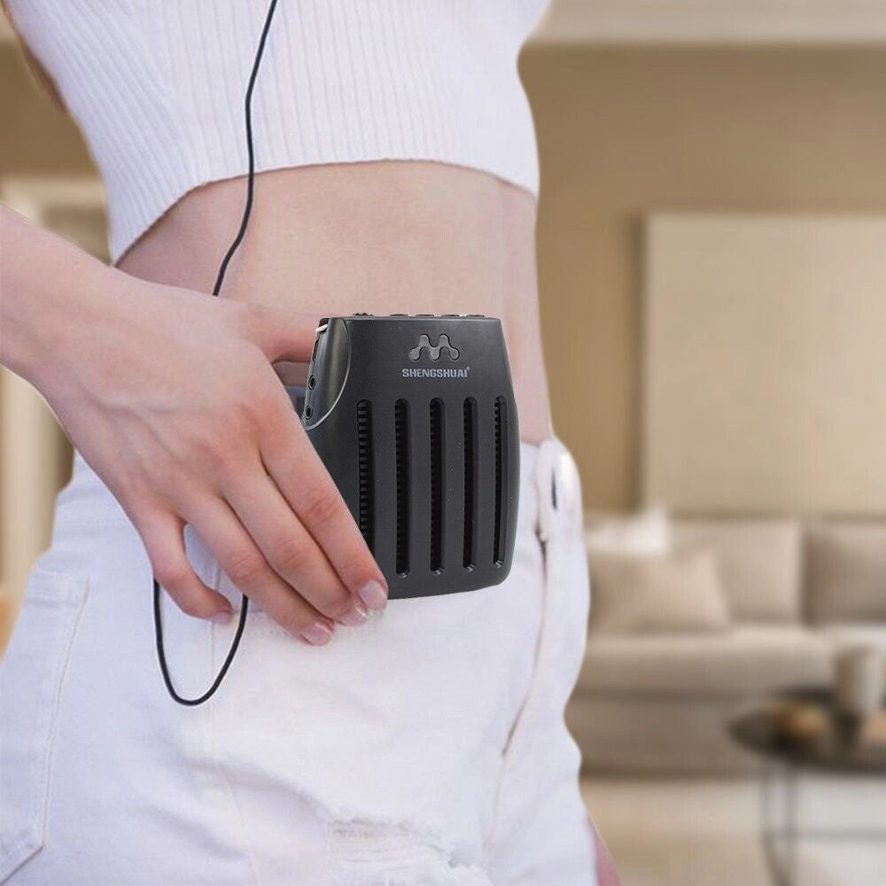 Amplificatore Vocale Portatile Archetto Animatore Usb Radio Fm Spettacoli SK-105