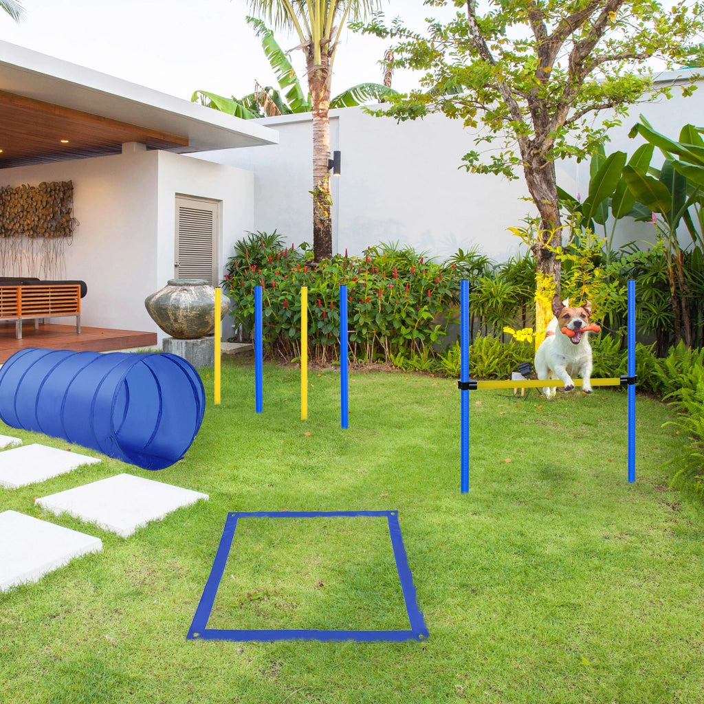 Set Agility per Cani con Tunnel e Stacchi ¨C Zephmum ¨C Blu