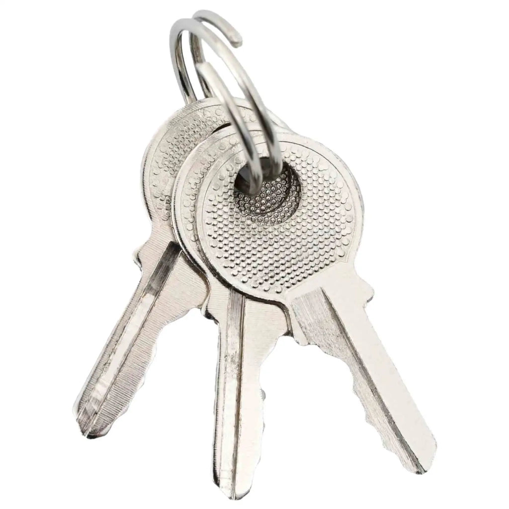 U Lock con Chiavi 6 pz Ottone Ferro CFW1005369