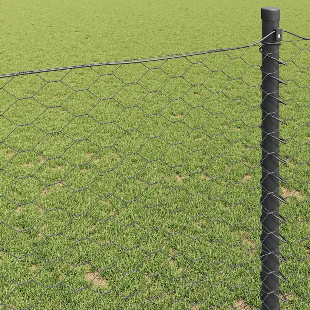 Recinzione da Giardino | Recinzione Esagonale Grigio 0,8 x 50 m PVC