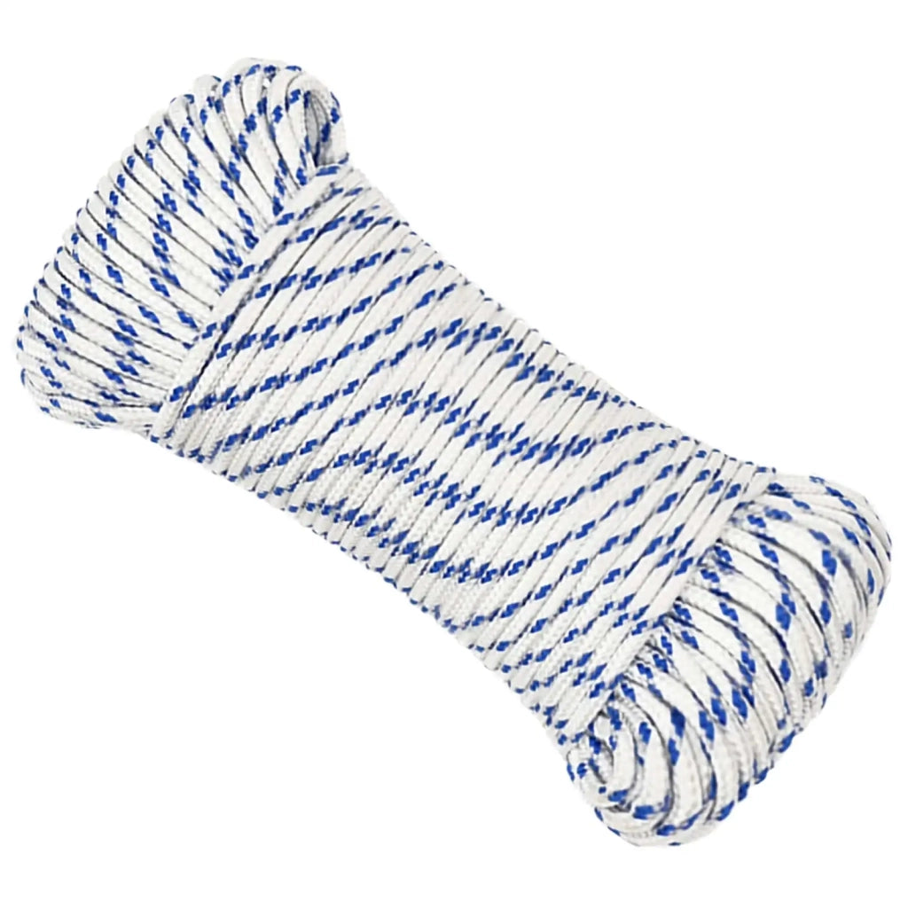 Corda multiuso 4 mm 25 m Bianco e Blu PP 105 kg Carico massimo 3473097