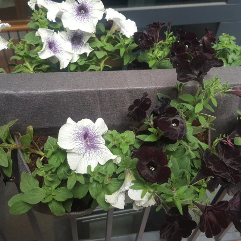 Vaso da Balcone in tessuto BloemBagz, con 6 tasche, 61 cm, colore Azzurro