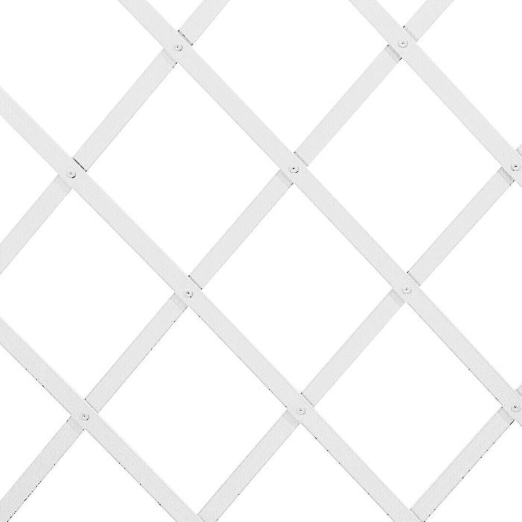 Traliccio Estensibile In Plastica Bianco 100X200 - Biacchi Ettore