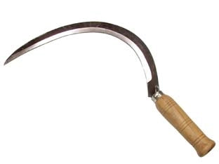 FALCIOLA LISCIA  n°0