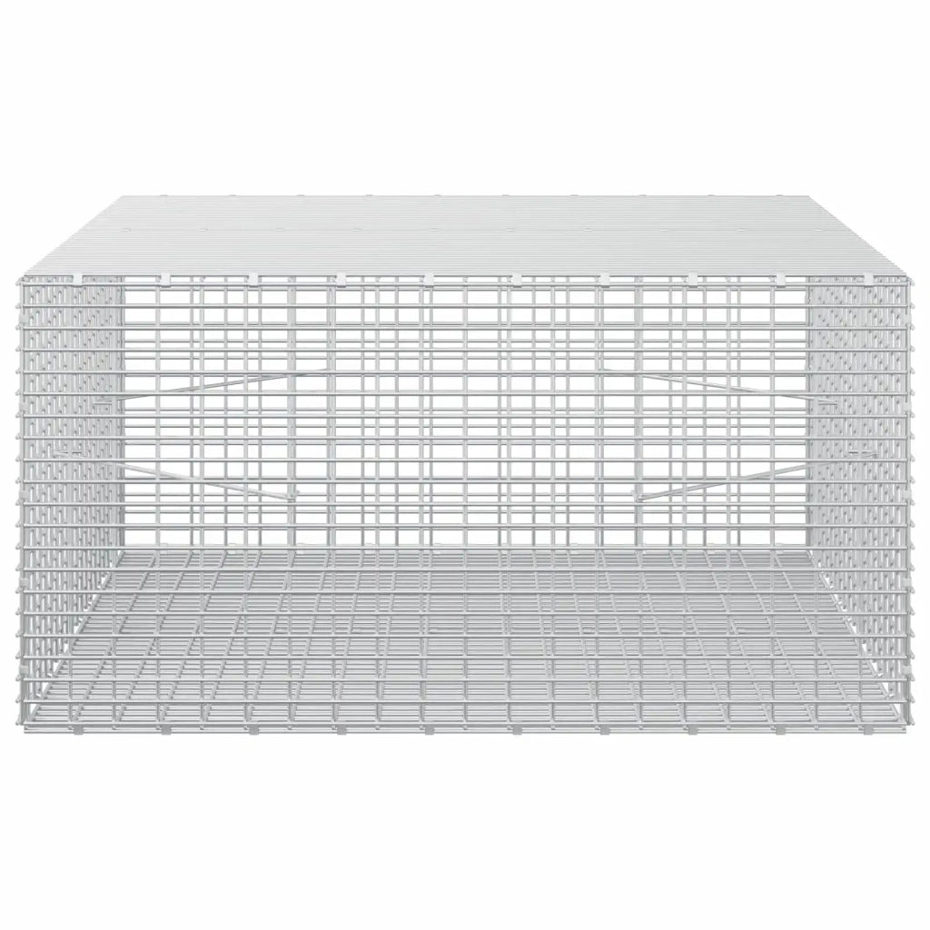 Gabione con Filo da 3,5 mm e Rete da 5x2,5 cm 100x100x50 cm 3461924