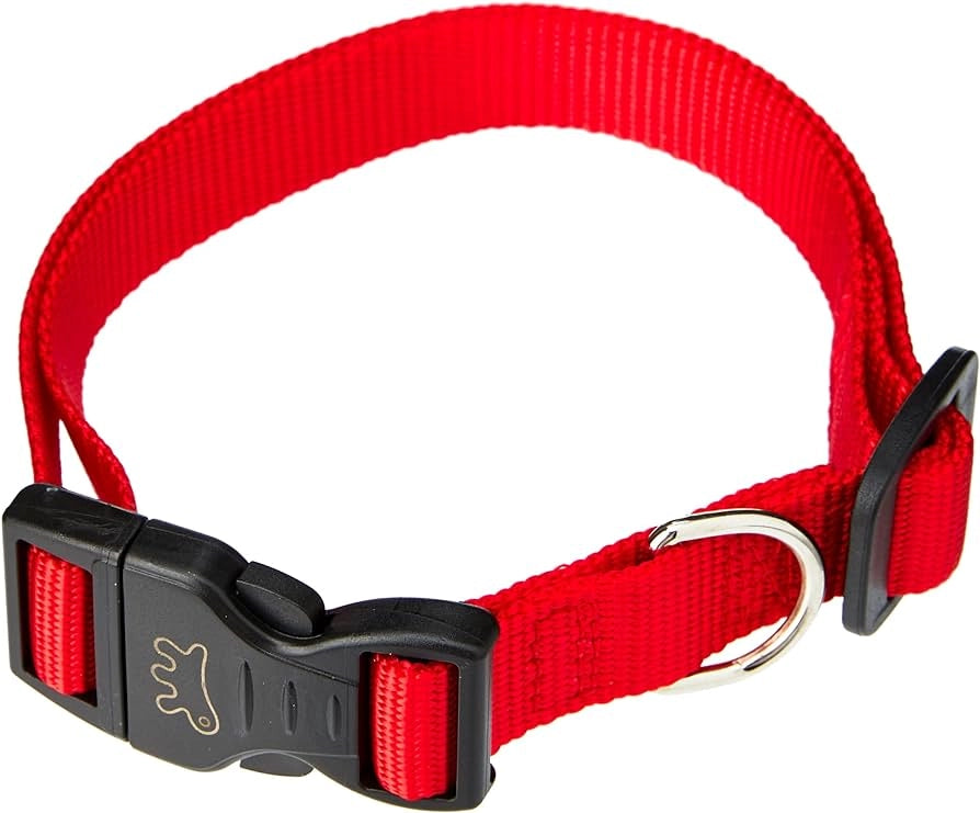 COLLARE PER CANI 'CLUB C' 15 mm x 30÷44 cm - FERPLAST