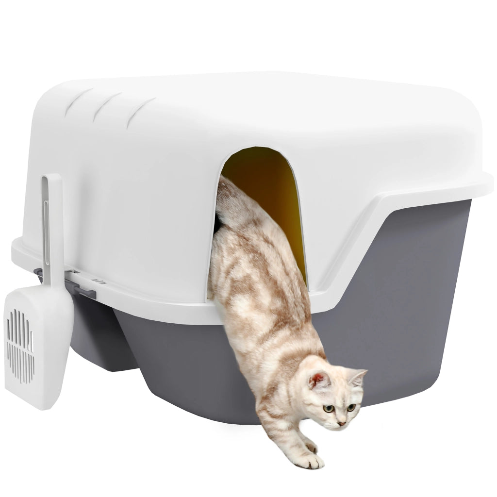 Toilette per gatti con coperchio apribile e bloccabile lettiera chiusa per casa crema 50 x 50 x 39 cm