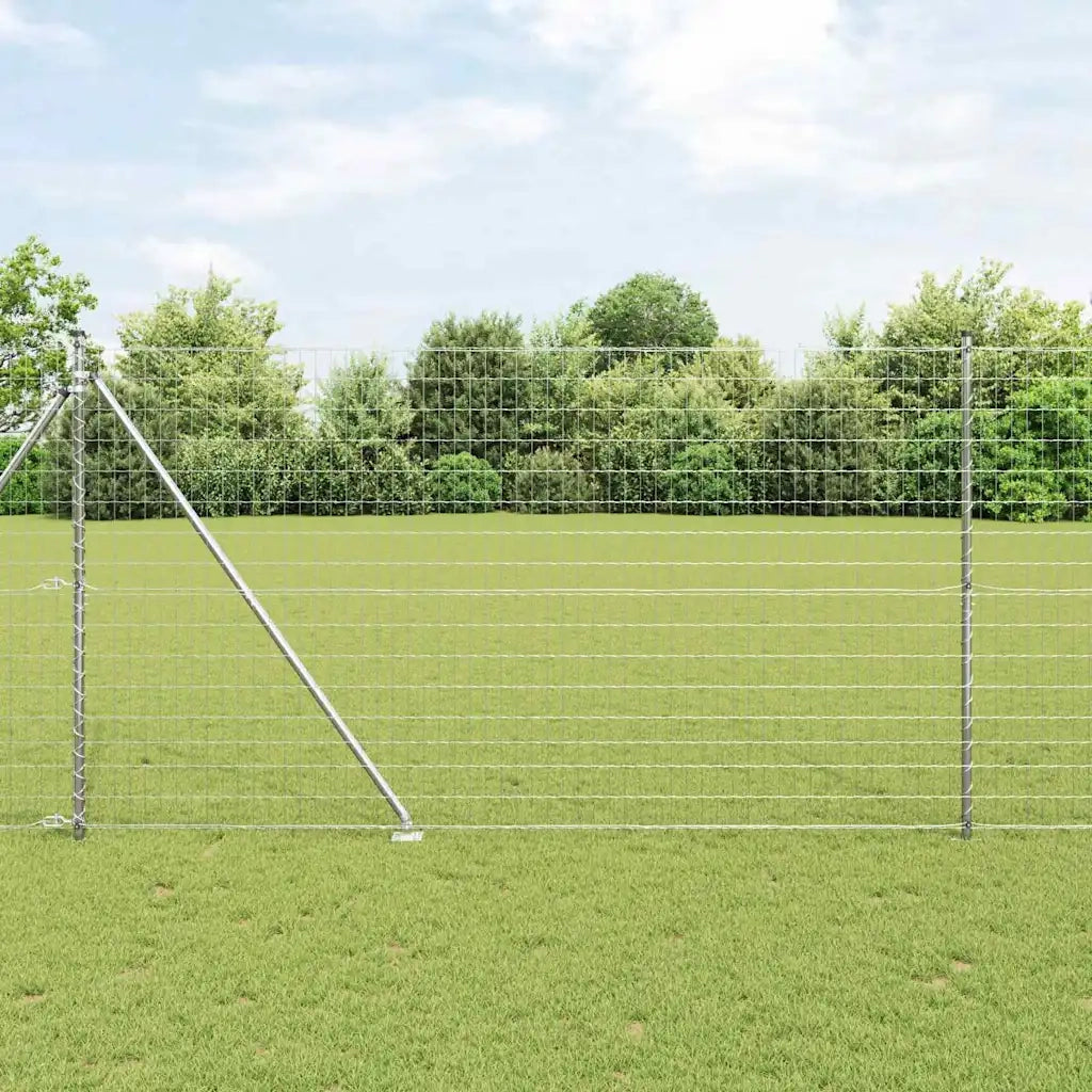 Recinzione con Posto Argento 1,6 x 10 m Acciaio