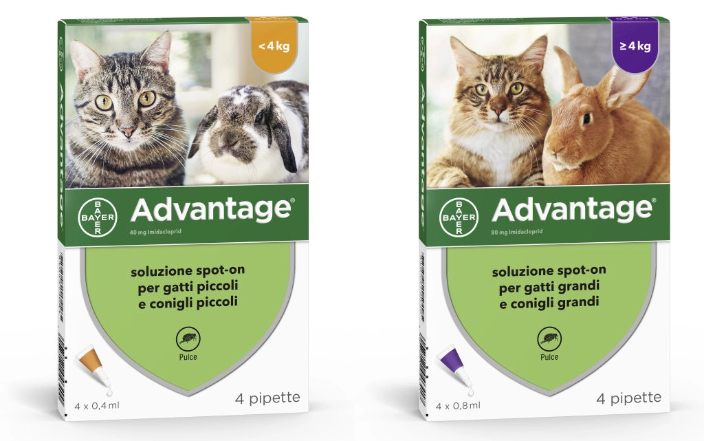 Bayer ANTIPARASSITARIO ADVANTAGE PER GATTI E CONIGLI superiori a kg. 4 (4 pipette)