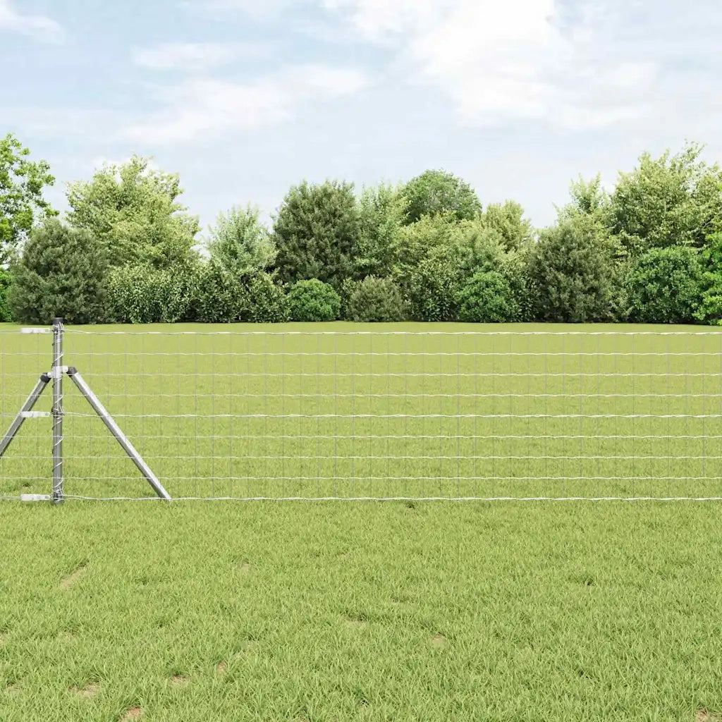 Recinzione con Posto Argento 0,4 x 50 m Acciaio e PVC 3350534