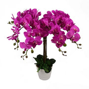 Orchidea artificiale in vaso, rosso scuro, 85 cm